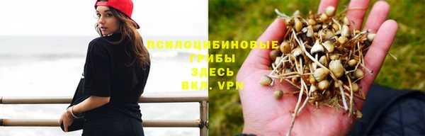 кокс Абаза