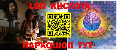 прущие грибы Краснодар
