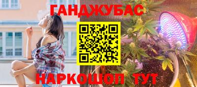 прущие грибы Краснодар
