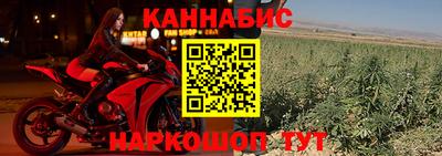 прущие грибы Краснодар