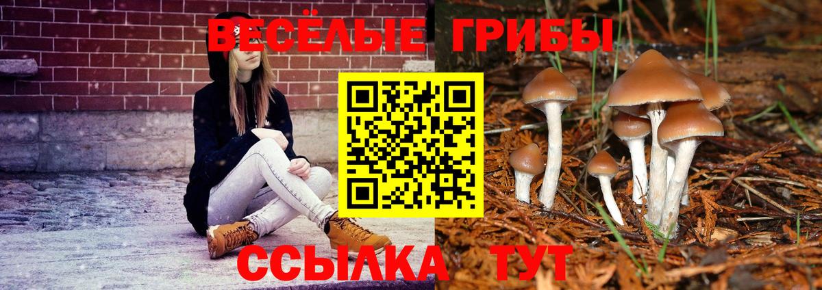Галлюциногенные грибы Psilocybe Иваново